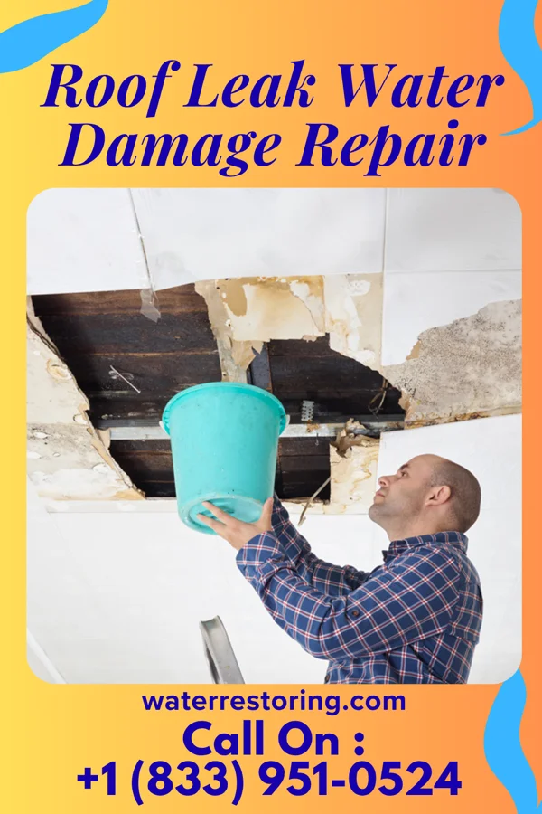 Roof Leak Water Damage Repair in Livingston, MT